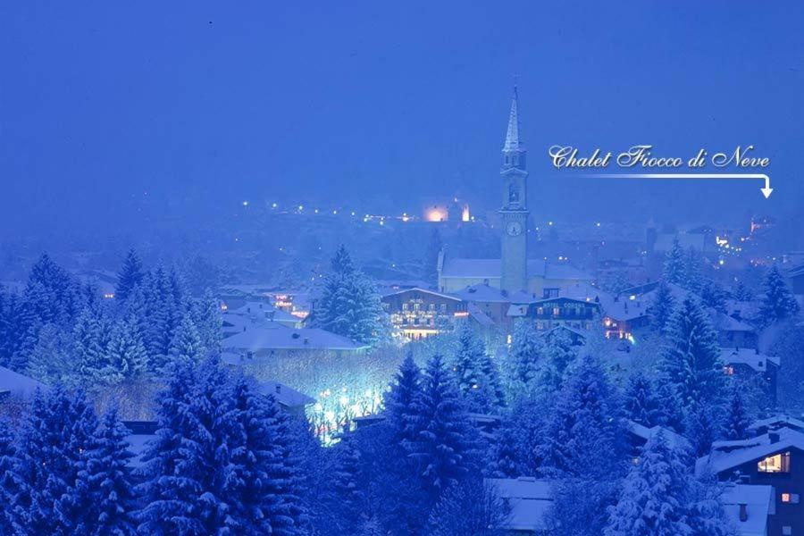 Chalet Fiocco Di Neve Pinzolo Eksteriør billede