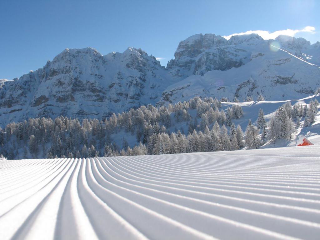 Chalet Fiocco Di Neve Pinzolo Eksteriør billede