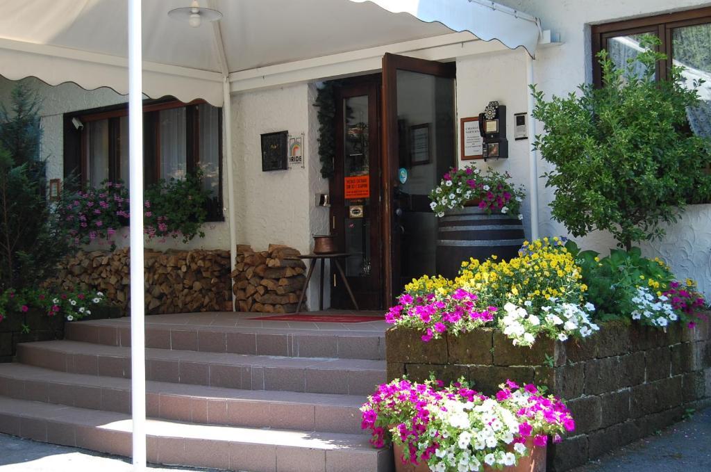 Chalet Fiocco Di Neve Pinzolo Eksteriør billede